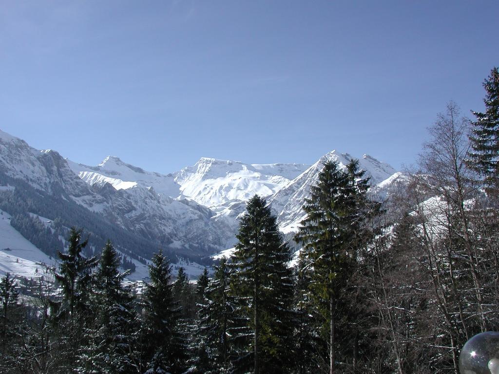 Hotel Crystal Adelboden Exterior photo